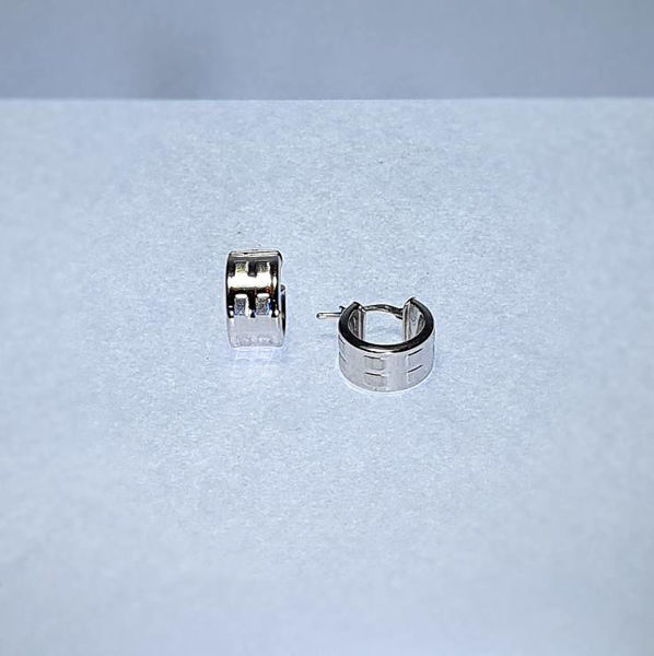 Picture of RODIUM PLATED EARRINGS LOOPS